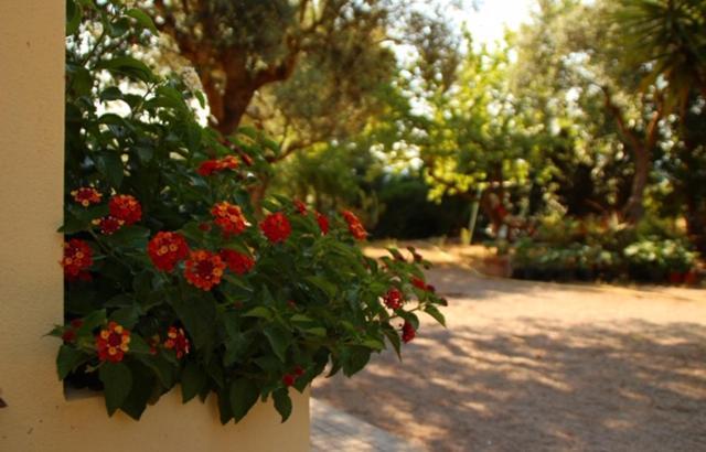 Rio Barca Bed And Breakfast Alghero Exterior photo